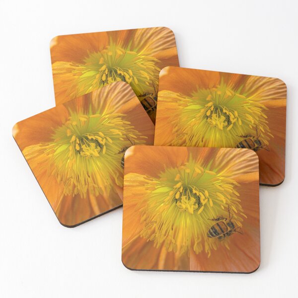 Item preview, A Bee in the Sunburst Flower designed and sold by Twisted Light Images.