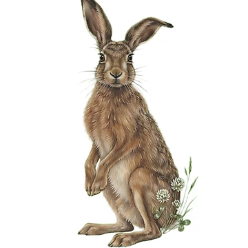 Vorschaubild zum Design Wild Hare with White Clover Botanical Vintage Cottagecore Art von Figo & Fern Studio