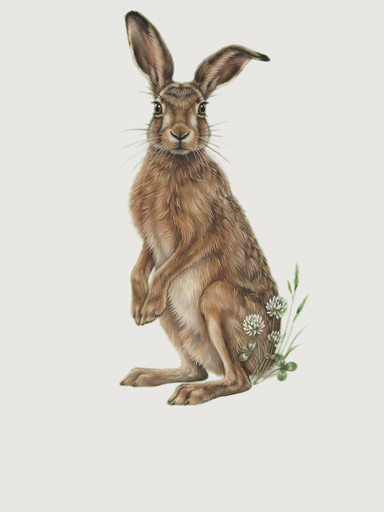 Thumbnail 6 von 6, Premium Oversized Pullover, Wild Hare with White Clover Botanical Vintage Cottagecore Art designt und verkauft von Figo & Fern Studio.