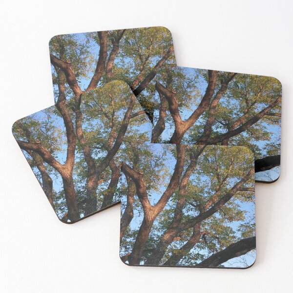 Item preview, Golden Sunlight on Large Tree Branches designed and sold by Nature Moments.