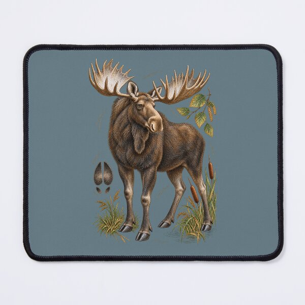 Item preview, Vintage Bull Moose Field Guide Wildlife Art designed and sold by BROHLine Studio.
