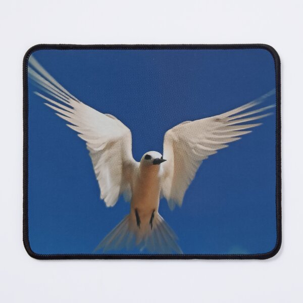 Item preview, bird, flying bird designed and sold by colorgallery11.