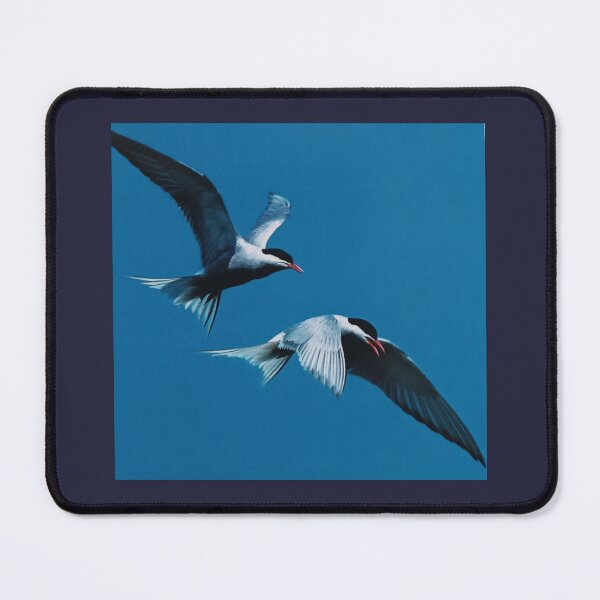 Item preview, flying birds, birds, nature designed and sold by colorgallery11.