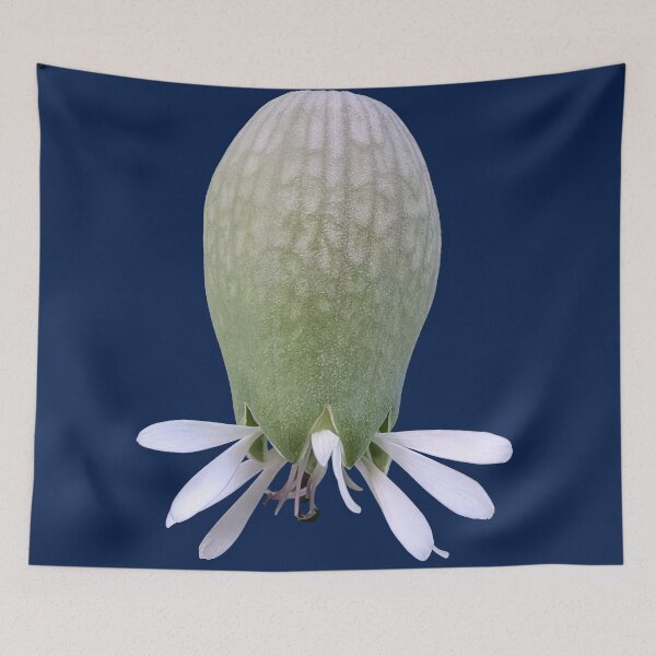 Item preview, Aesthetic Green Botanical Bud Fine Art Print  designed and sold by MatiolaScentArt.