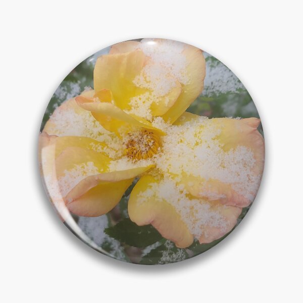 Item preview, Frosted Rose designed and sold by Mandie Ward Photography & Designs.