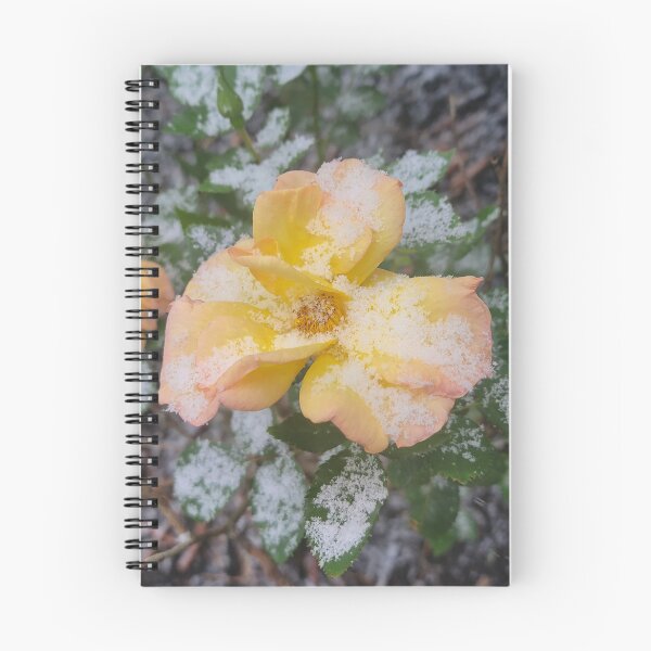 Item preview, Frosted Rose designed and sold by Mandie Ward Photography & Designs.