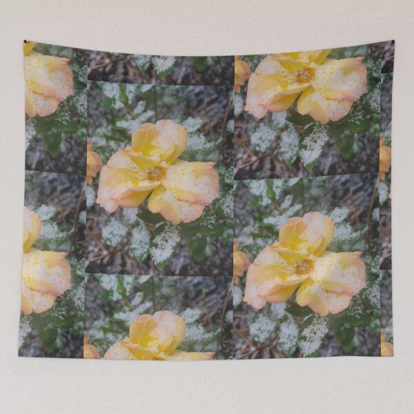 Item preview, Frosted Rose designed and sold by Mandie Ward Photography & Designs.