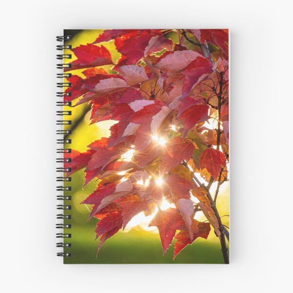 Item preview, Shimmering Red Maple designed and sold by Julie Navitka.