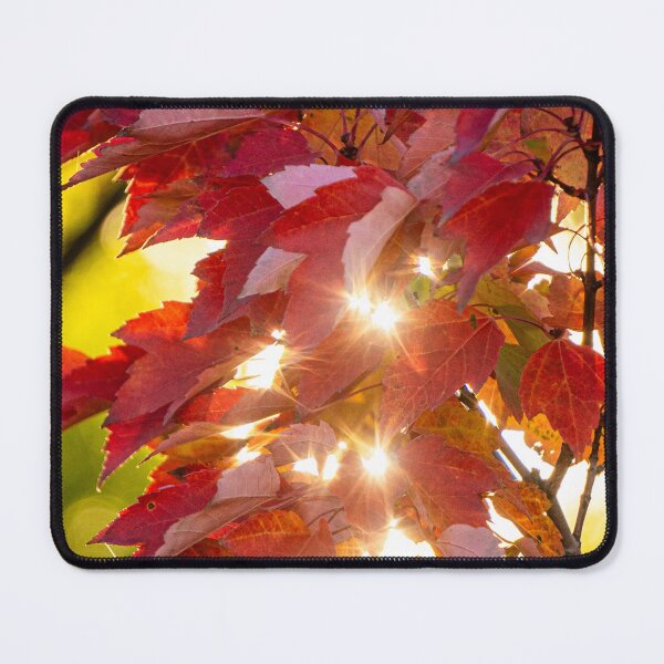 Item preview, Shimmering Red Maple designed and sold by Julie Navitka.
