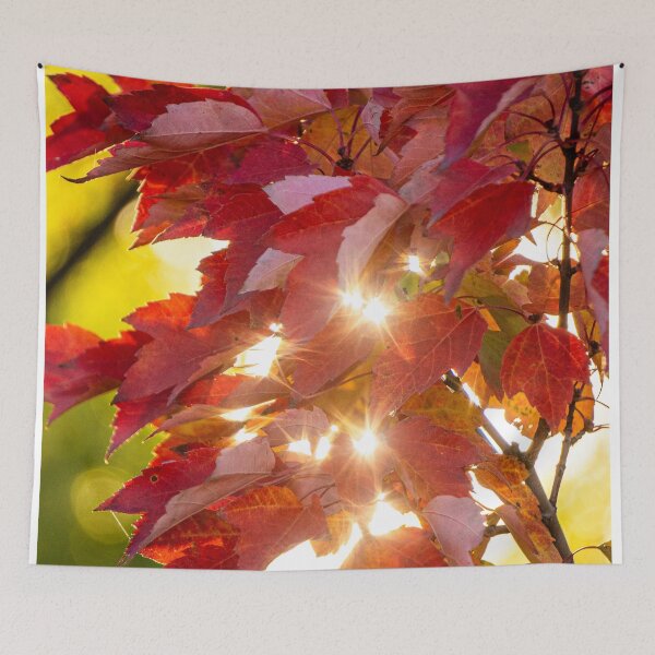 Item preview, Shimmering Red Maple designed and sold by Julie Navitka.