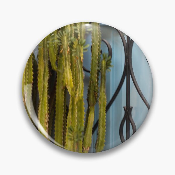 Item preview, Tall Green Cactus Against Blue Window With Decorative Wrought Iron Grill in Mediterranean Style designed and sold by Nmallia.