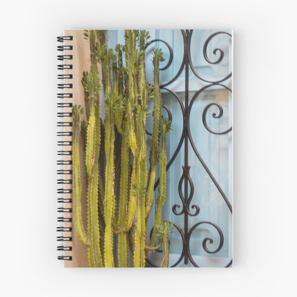 Item preview, Tall Green Cactus Against Blue Window With Decorative Wrought Iron Grill in Mediterranean Style designed and sold by Nmallia.