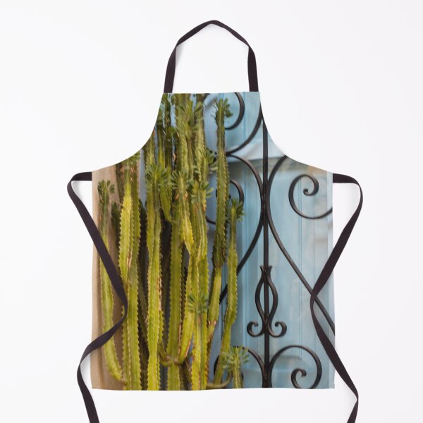 Item preview, Tall Green Cactus Against Blue Window With Decorative Wrought Iron Grill in Mediterranean Style designed and sold by Nmallia.
