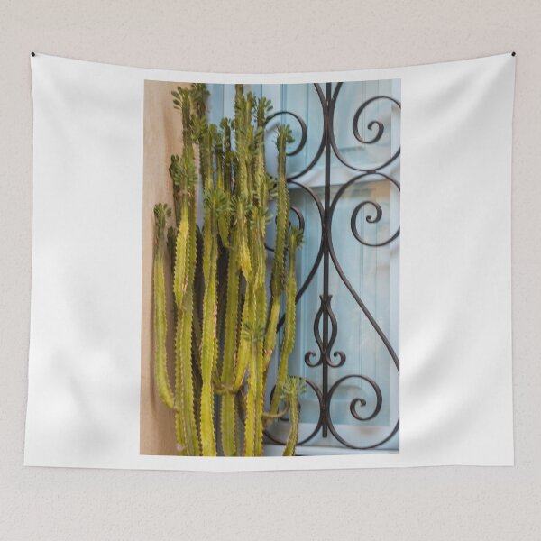 Item preview, Tall Green Cactus Against Blue Window With Decorative Wrought Iron Grill in Mediterranean Style designed and sold by Nmallia.