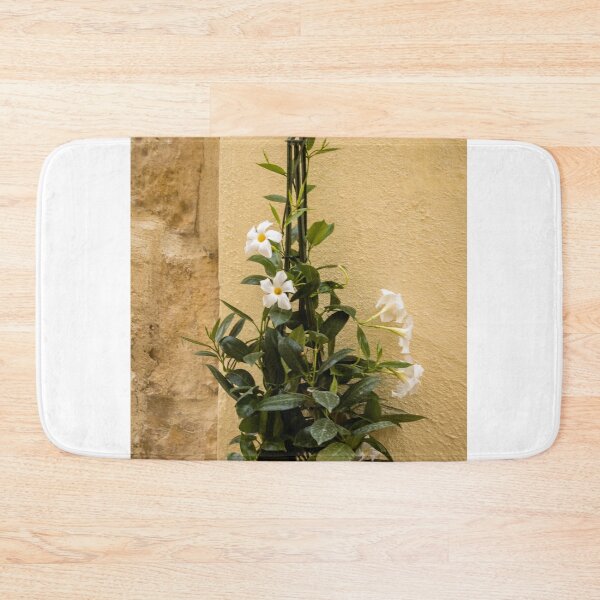 Item preview, Potted White Mandevilla Vine Climbing A Trellis Against Sunlit Textured Wall designed and sold by Nmallia.