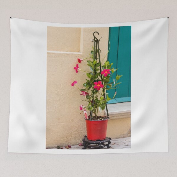 Item preview, Potted Pink Mandevilla Vine With Bright Flowers Beside Teal Door On Stucco Wall designed and sold by Nmallia.