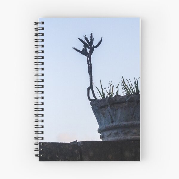 Item preview, Silhouetted Potted Cactus On A Weathered Pot At Dusk On Rooftop Wall designed and sold by Nmallia.