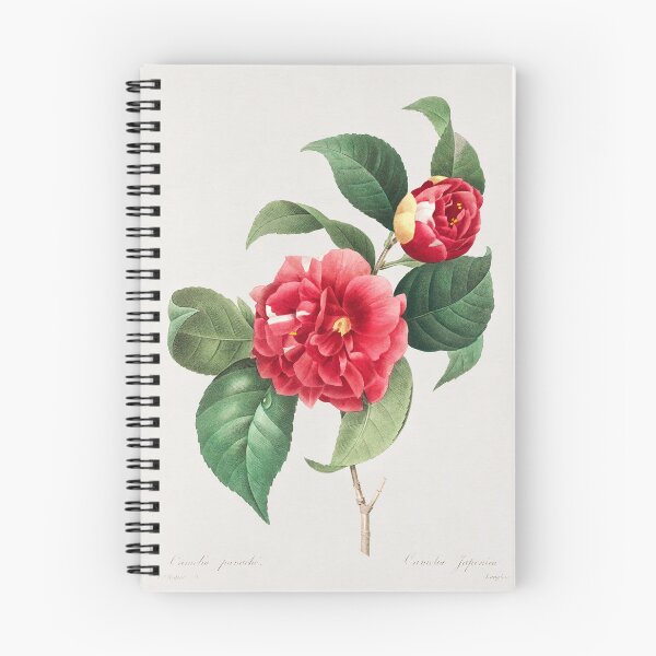 Item preview, Choix des plus belles fleurs _et des plus beaux fruits (1833) designed and sold by AngyDesigns49.