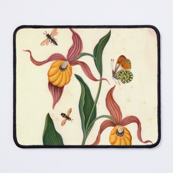 Item preview, Lady's slipper orchid (Cypripedium calceolus L.) designed and sold by AngyDesigns49.