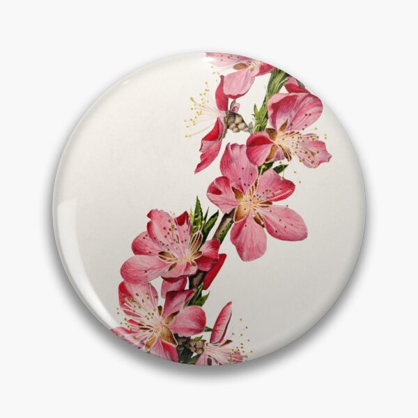 Item preview, Peach (Prunus Persica) (1924) by Royal Charles Steadman designed and sold by AngyDesigns49.