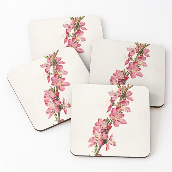 Item preview, Peach (Prunus Persica) (1924) by Royal Charles Steadman designed and sold by AngyDesigns49.