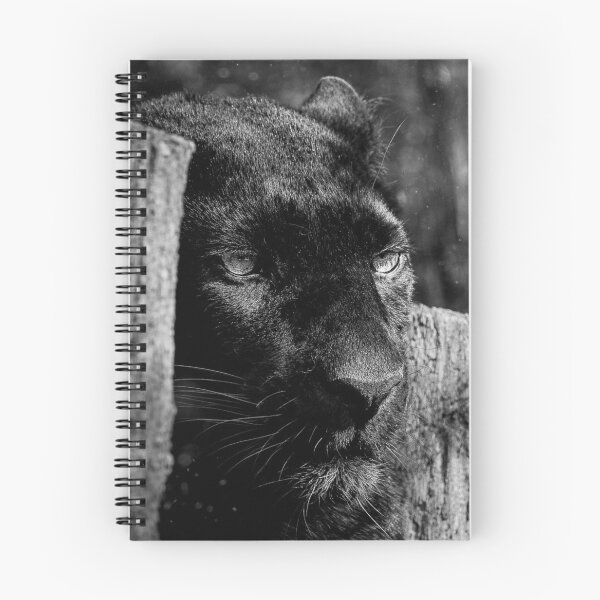 Item preview, Black Panther Portrait – Mystical Gaze Black White Wild Animal designed and sold by Tammigrafie.