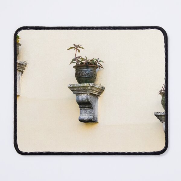 Item preview, Three Wall Planters With Potted Succulents on Pale Yellow Stucco Exterior designed and sold by Nmallia.