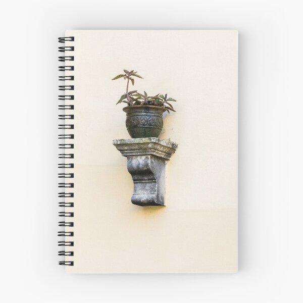 Item preview, Three Wall Planters With Potted Succulents on Pale Yellow Stucco Exterior designed and sold by Nmallia.