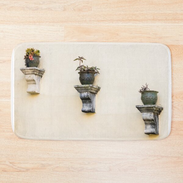 Item preview, Three Wall Planters With Potted Succulents on Pale Yellow Stucco Exterior designed and sold by Nmallia.