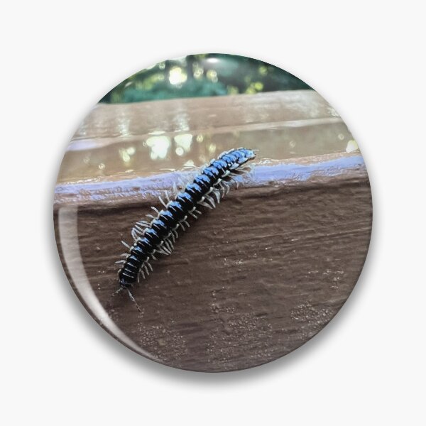 Item preview, Nature's Tiny Explorer.  Flat-Backed Millipede designed and sold by Astute-Artio-Photography.