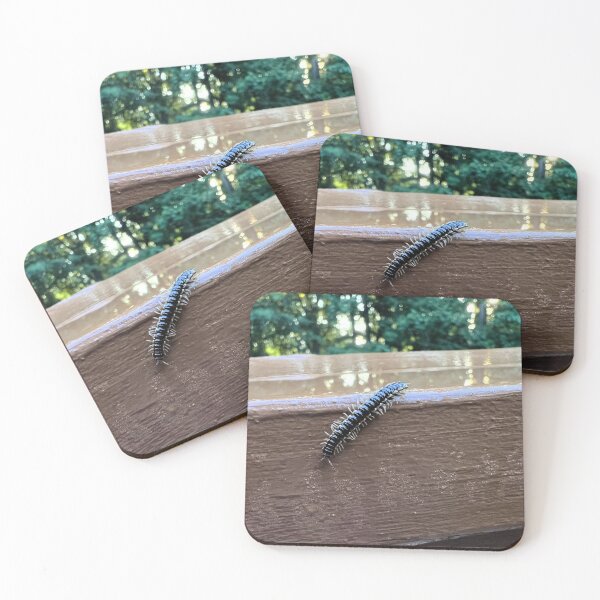 Item preview, Nature's Tiny Explorer.  Flat-Backed Millipede designed and sold by Astute-Artio-Photography.