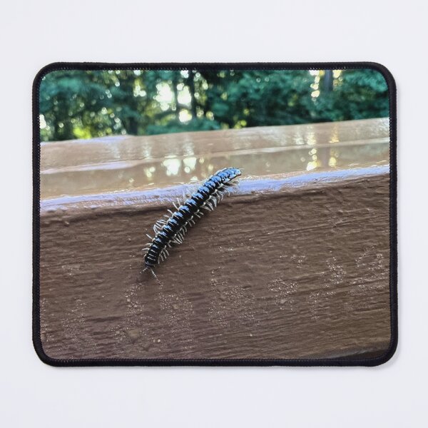 Item preview, Nature's Tiny Explorer.  Flat-Backed Millipede designed and sold by Astute-Artio-Photography.