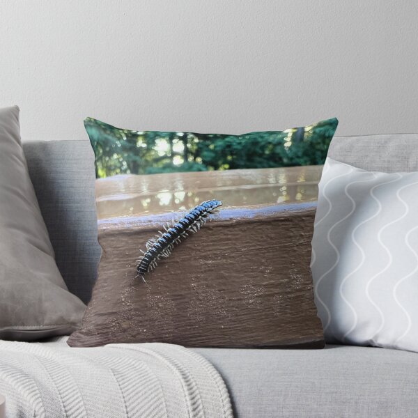 Item preview, Nature's Tiny Explorer.  Flat-Backed Millipede designed and sold by Astute-Artio-Photography.