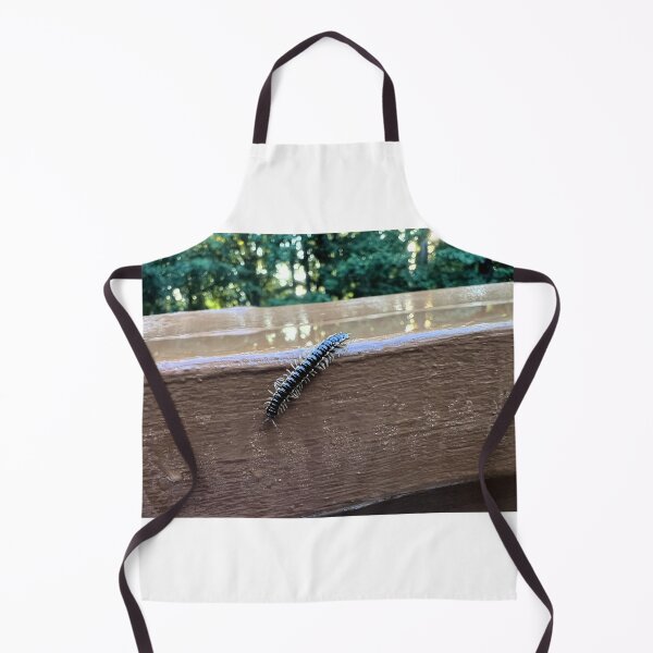 Item preview, Nature's Tiny Explorer.  Flat-Backed Millipede designed and sold by Astute-Artio-Photography.