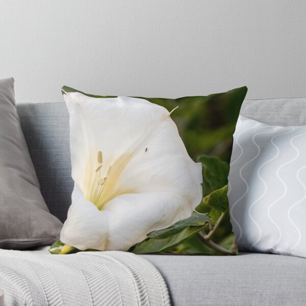 Item preview, White Datura Flower Close-Up With Green Leaves and Tiny Insect on Petal designed and sold by Nmallia.