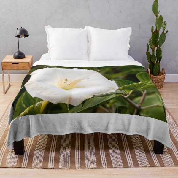 Item preview, White Datura Flower Close-Up With Green Leaves and Tiny Insect on Petal designed and sold by Nmallia.