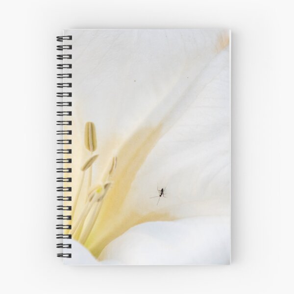 Item preview, White Flower Close-Up With Tiny Mosquito On Petal Showing Stamen And Delicate Floral Texture designed and sold by Nmallia.