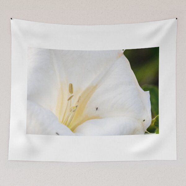Item preview, White Flower Close-Up With Tiny Mosquito On Petal Showing Stamen And Delicate Floral Texture designed and sold by Nmallia.