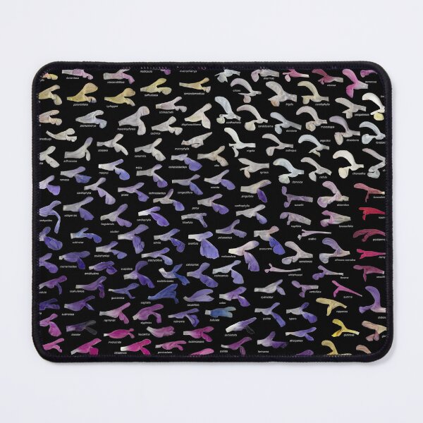 Item preview, Salvia of the World designed and sold by Ricardo Kriebel.