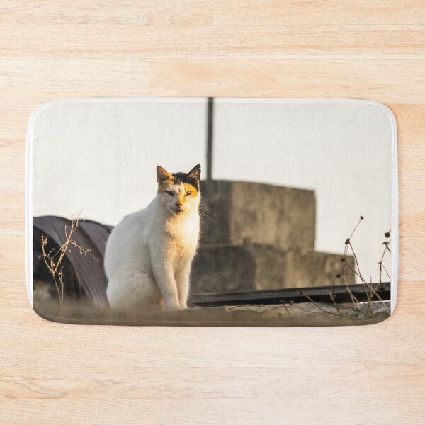 Item preview, Calico Cat Sitting on Urban Rooftop in Warm Golden Hour Light, Observing the Street Below designed and sold by Nmallia.