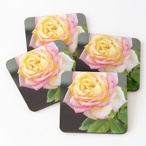 Item preview, Close-Up Pink And Yellow Rose Bloom With Green Leaves On Soft Background For Floral Beauty designed and sold by Nmallia.