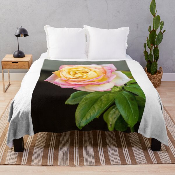 Item preview, Close-Up Pink And Yellow Rose Bloom With Green Leaves On Soft Background For Floral Beauty designed and sold by Nmallia.