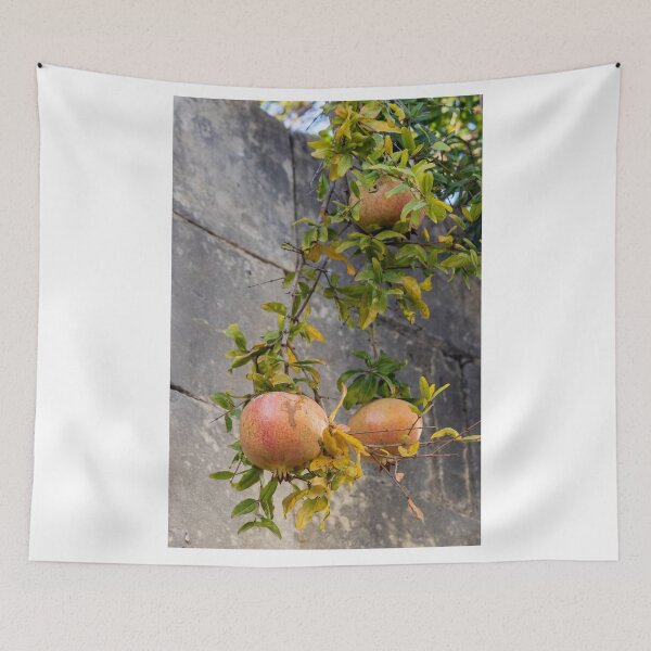 Item preview, Ripe Pomegranates Hanging From Branches With Green Leaves Against A Stone Wall designed and sold by Nmallia.
