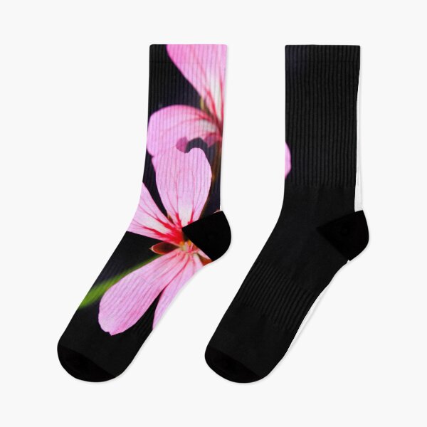 Item preview, Violet flowers on black background designed and sold by olena2552.