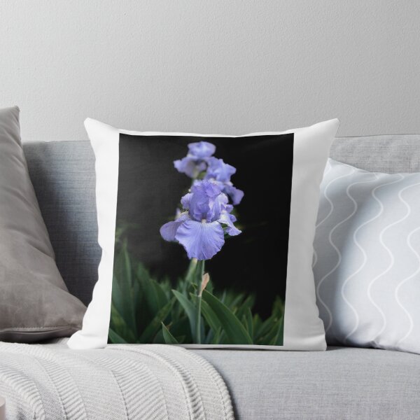Item preview, Midnight Iris — Pale Blue Bearded Iris on Black designed and sold by Bitseybits.