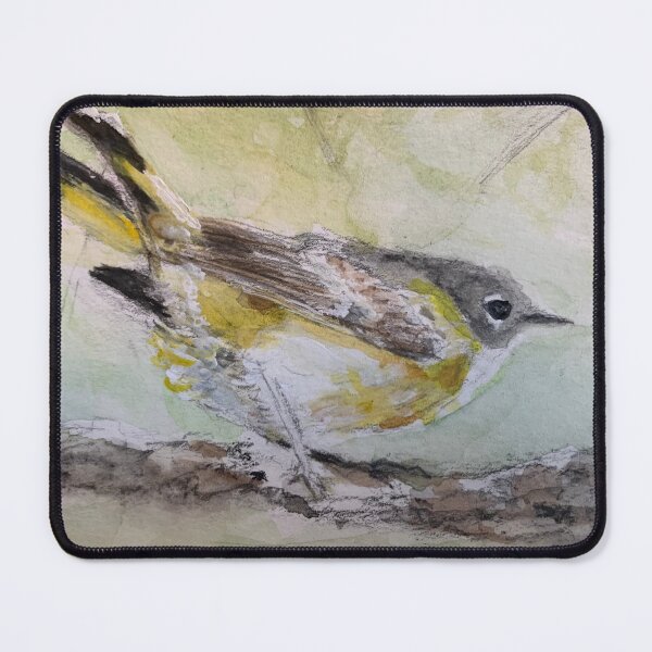 Item preview, Female American Redstart drawing designed and sold by Birds of Inwood.