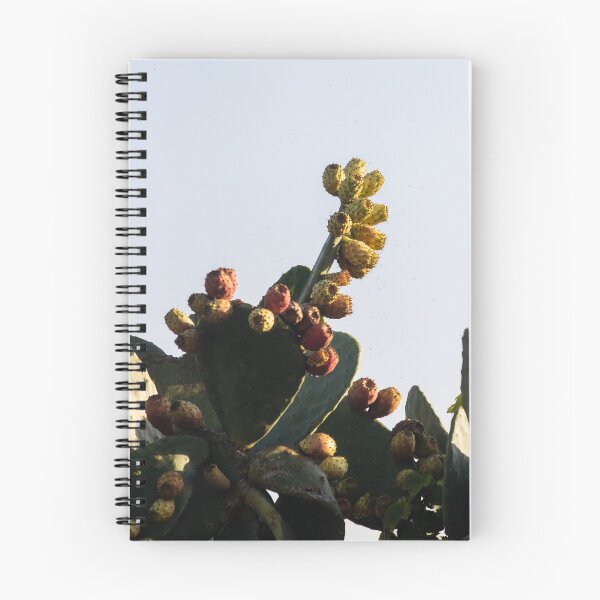 Item preview, Prickly Pear Cactus With Ripening Fruit Against Clear Sky in Warm Natural Light designed and sold by Nmallia.