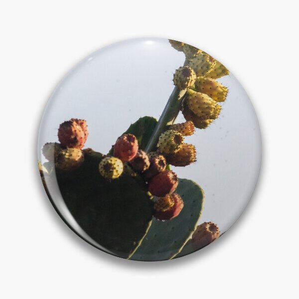 Item preview, Prickly Pear Cactus With Ripening Fruit Against Clear Sky in Warm Natural Light designed and sold by Nmallia.