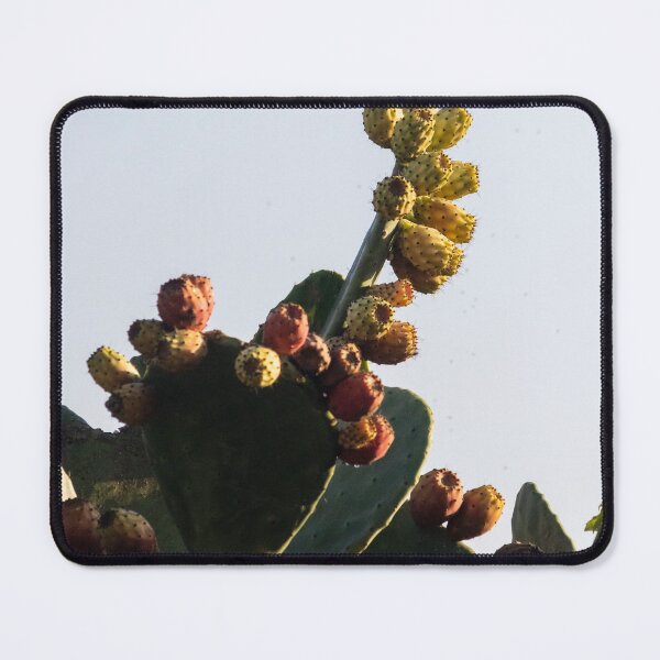 Item preview, Prickly Pear Cactus With Ripening Fruit Against Clear Sky in Warm Natural Light designed and sold by Nmallia.