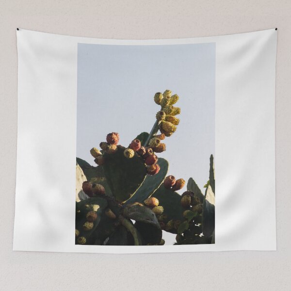 Item preview, Prickly Pear Cactus With Ripening Fruit Against Clear Sky in Warm Natural Light designed and sold by Nmallia.